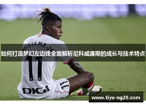 如何打造梦幻左边锋全面解析尼科威廉斯的成长与技术特点