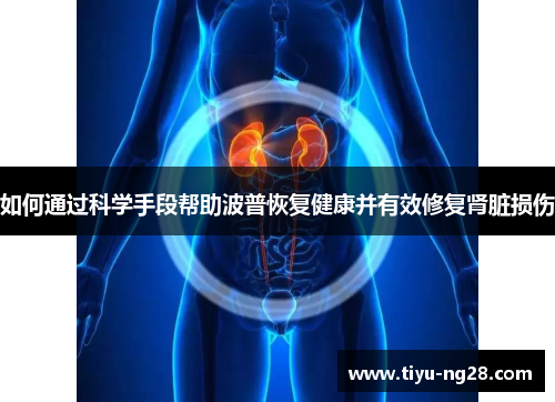 如何通过科学手段帮助波普恢复健康并有效修复肾脏损伤