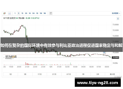 如何在复杂的国际环境中有效参与利比亚政治进程促进国家稳定与和解