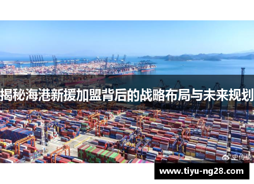 揭秘海港新援加盟背后的战略布局与未来规划