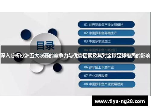 深入分析欧洲五大联赛的竞争力与优势因素及其对全球足球格局的影响