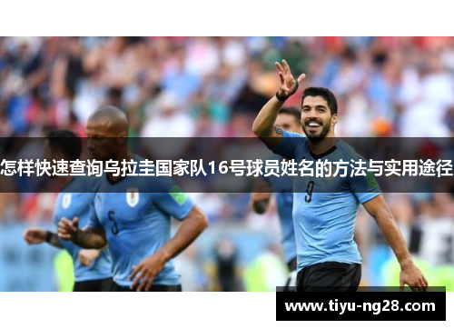 怎样快速查询乌拉圭国家队16号球员姓名的方法与实用途径
